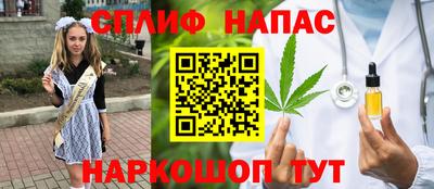 шишки Бийск